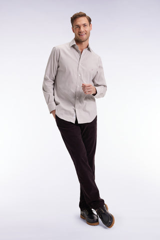 Pleatless chino pants in brown stretch velvet