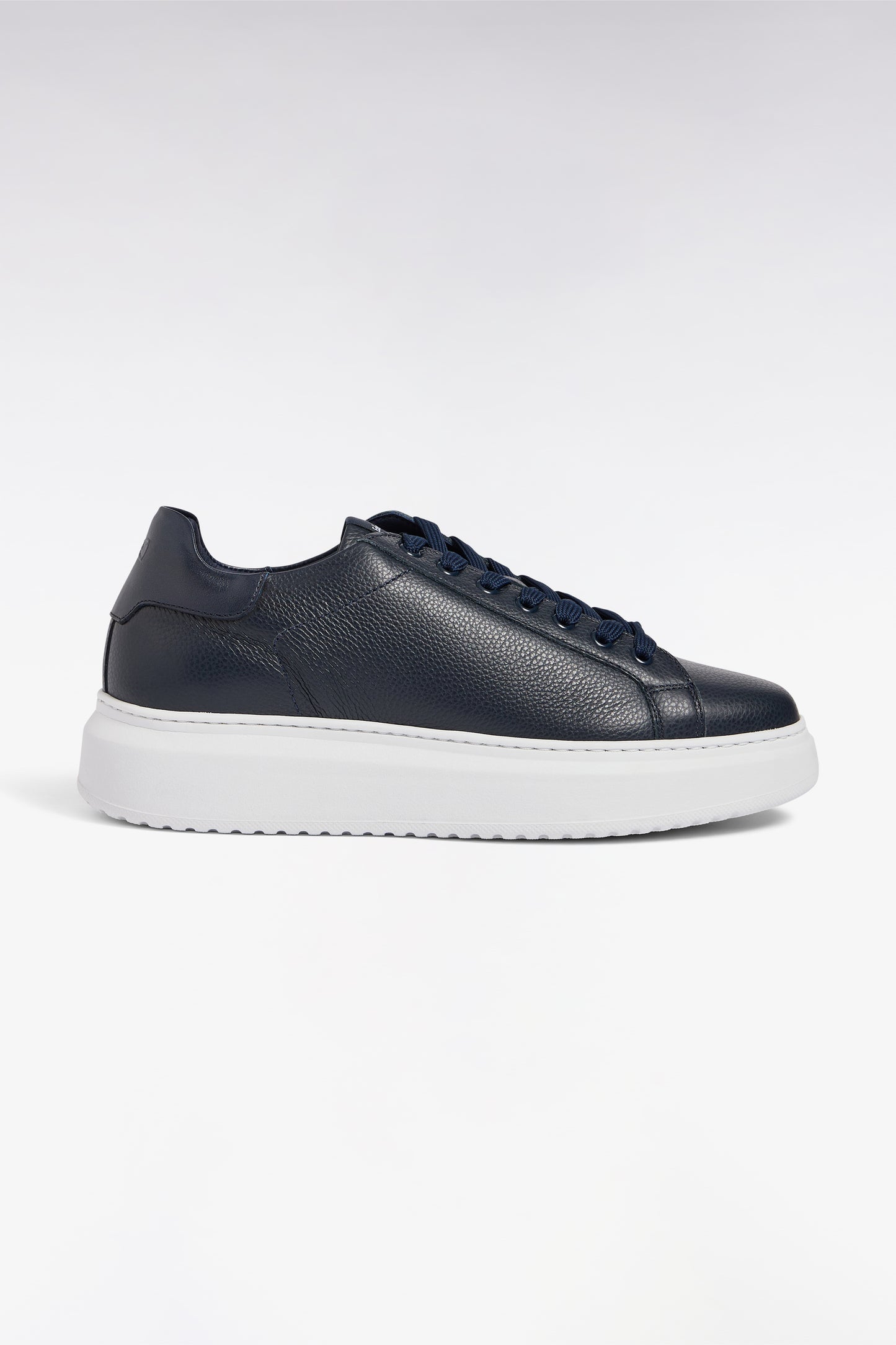 Low sneakers in navy grained leather