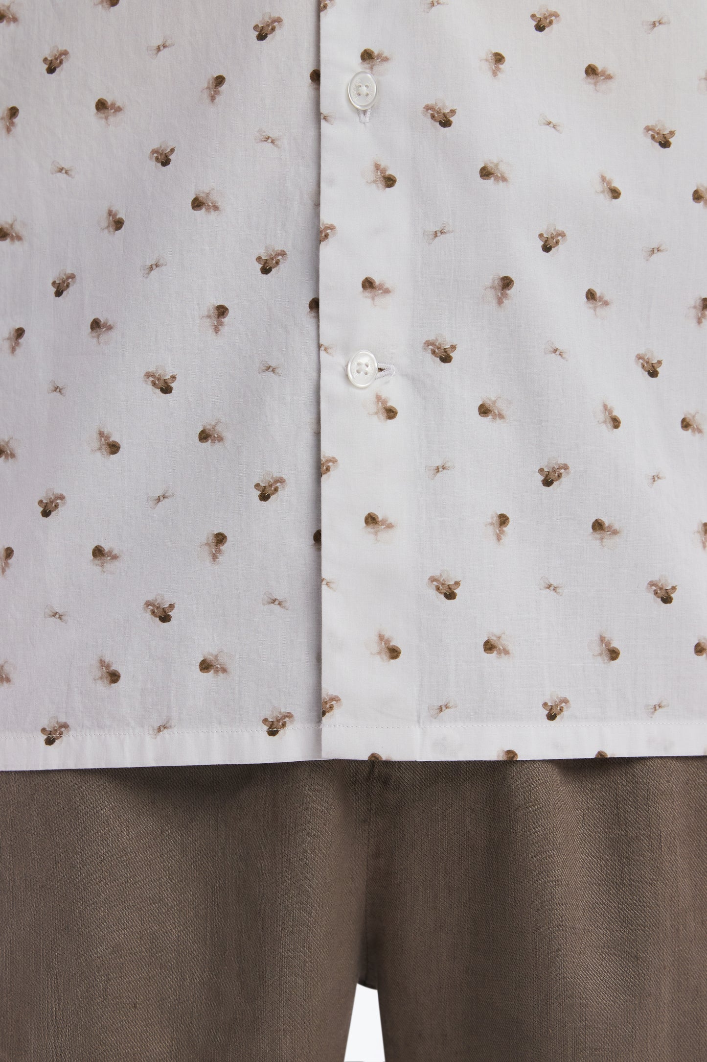 Straight-fit sand cotton poplin shirt with bow tie microprint