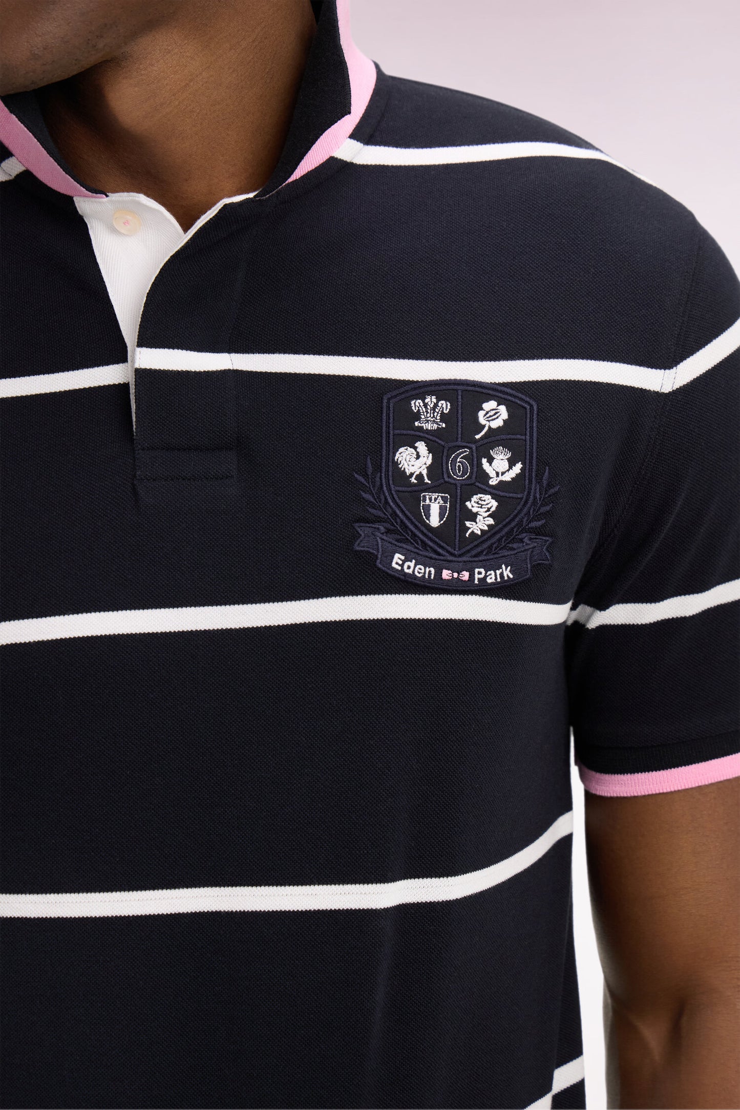 6 Nations short-sleeved polo shirt in navy striped cotton, regular fit