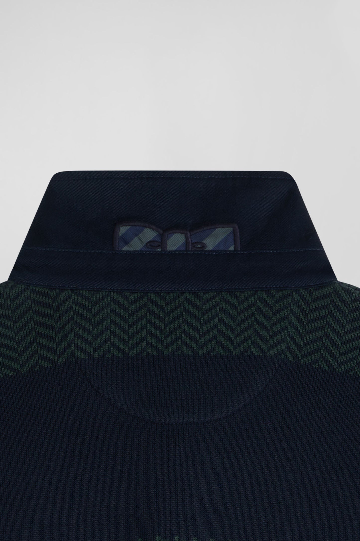 Regular green striped cotton jersey jumper with houndstooth jacquard and and rugby shirt collar