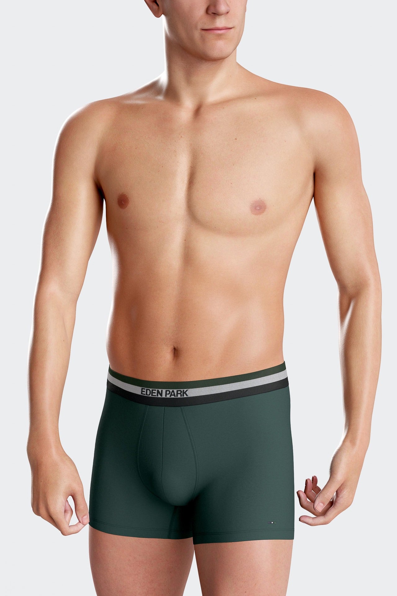 Set of 2 green stretch cotton boxers with tricolor waistband